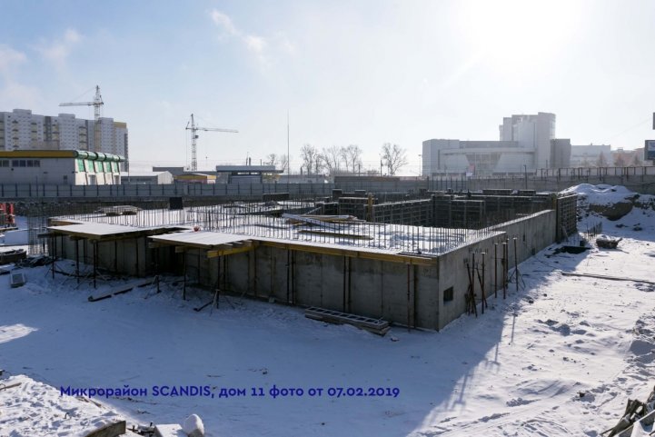 SCANDIS, дом 11, опубликовано 14.02.2019 Ардовской Д.Б.