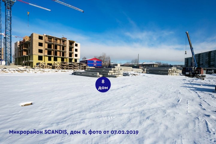 SCANDIS, дом 8, опубликовано 18.02.2019 Ардовской Д.Б.