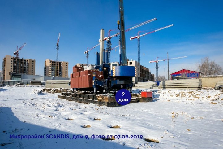 SCANDIS, дом 9, опубликовано 18.02.2019 Ардовской Д.Б.