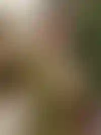 Софья Легонькова