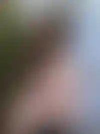 Анастасия Лесовая