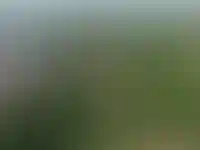 Ход строительства