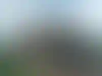 Ход строительства