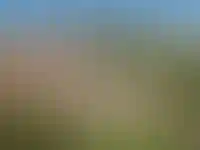 Ход строительства