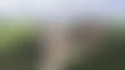 Генплан