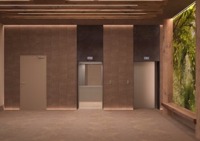Арбан Scandis - концептуальные фото готовых новостроек. 2 лифта в подъезде.
